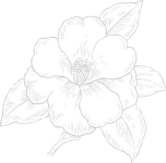fleur.95140913.png