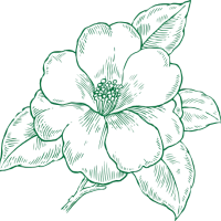 fleur-verte.5a03cb79.png